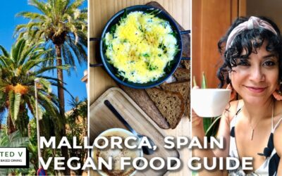 Descubre los Mejores Restaurantes en El Molinar, Palma de Mallorca: Guía Gastronómica Única