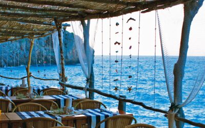 Descubriendo los Encantos Gastronómicos: Guía Definitiva de Bares y Restaurantes en Palma de Mallorca 07003