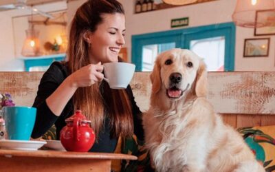 Descubriendo los Mejores Restaurantes Pet-Friendly en Mallorca: Una Guía Completa para Comer con tu Mascota