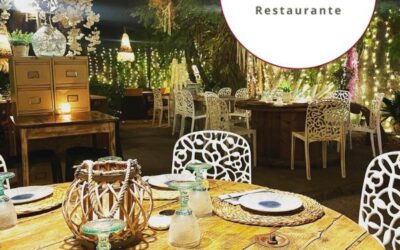 Descubriendo Sabores: Guía de los Mejores Bares y Restaurantes en Palma de Mallorca 07120