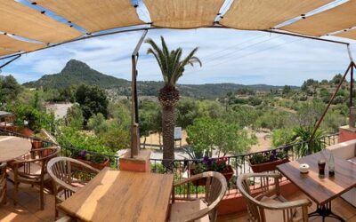 Descubriendo Sabores Únicos: Los Mejores Restaurantes en Galilea, Mallorca